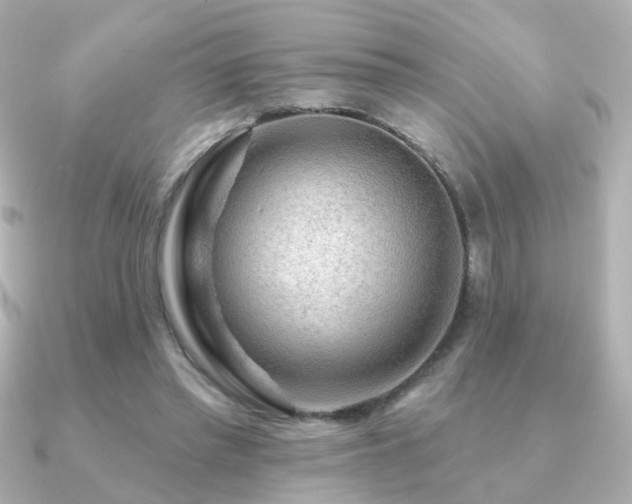 X0000091190397200708091253