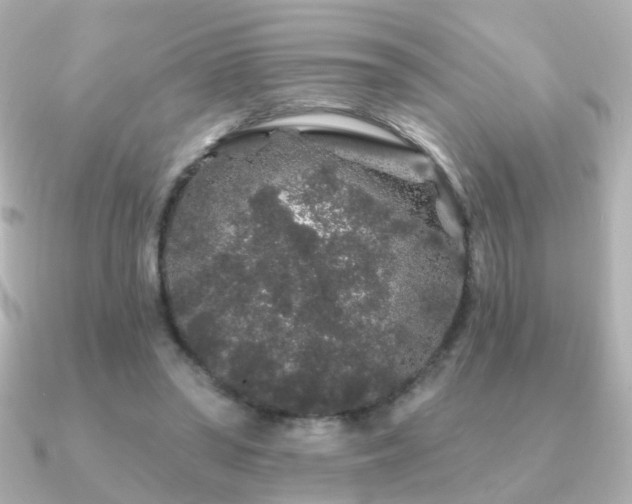 X0000091190398200708091253