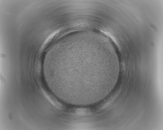 X0000091190400200708091253