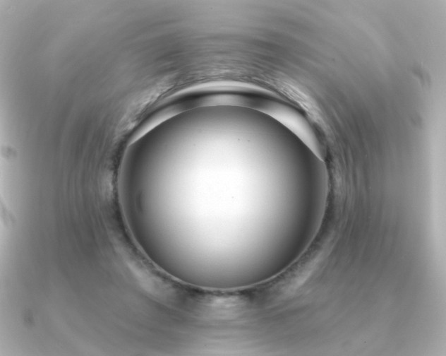 X0000091190401200708091253