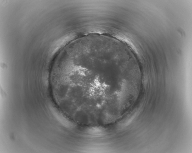 X0000091190402200708091253