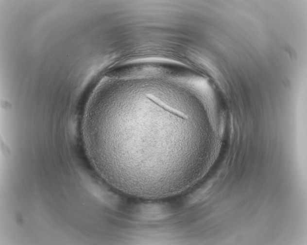 X0000091190404200708091253