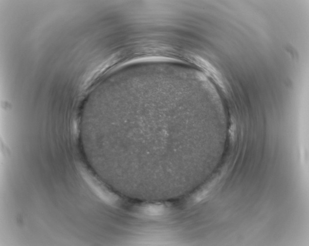 X0000091190405200708091253