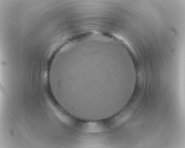 X0000091190406200708091253