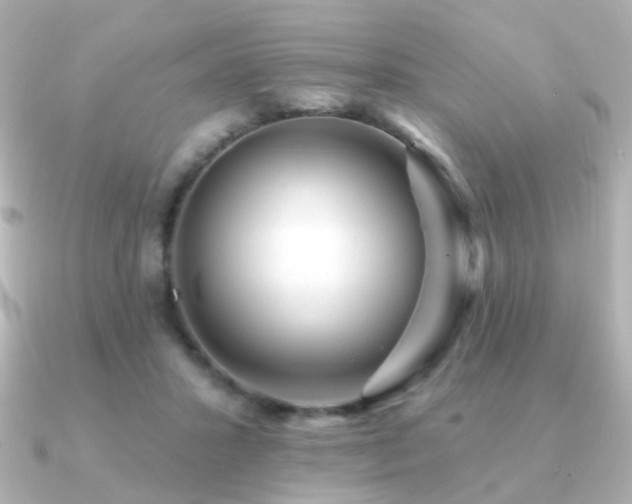X0000091190407200708091253