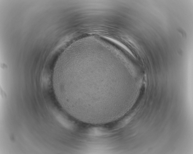 X0000091190408200708091253