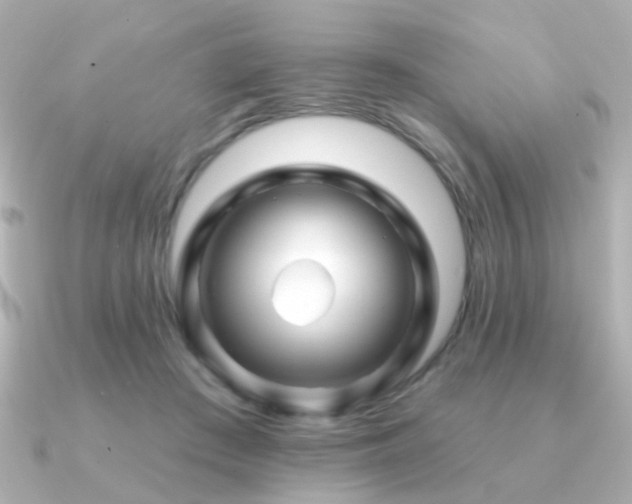 X0000091190409200708091253