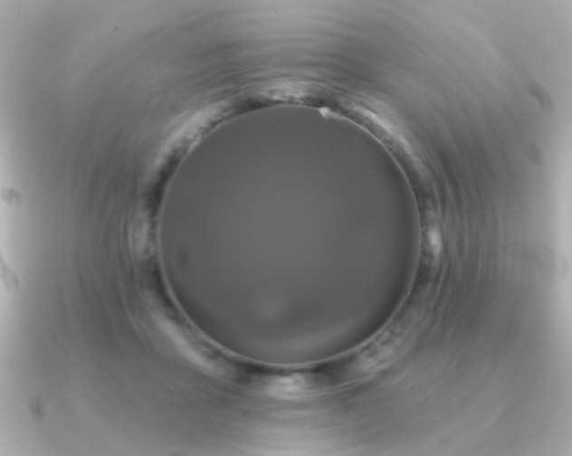 X0000091190411200708091253