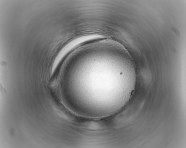 X0000091190412200708091253
