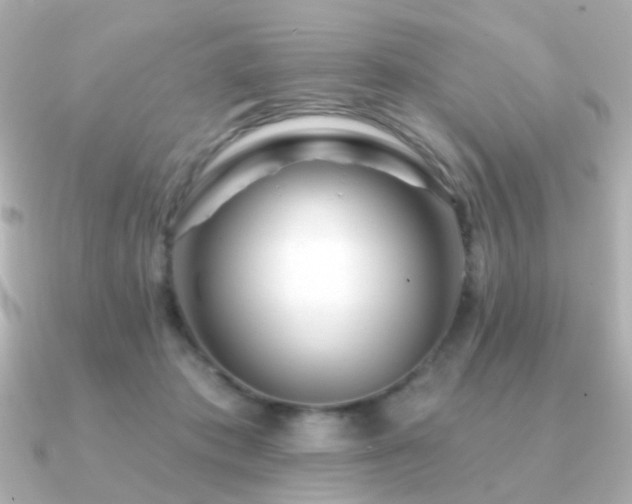 X0000091190413200708091253
