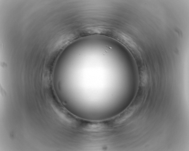 X0000091190414200708091253