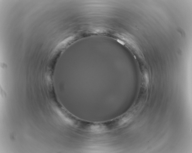 X0000091190415200708091253
