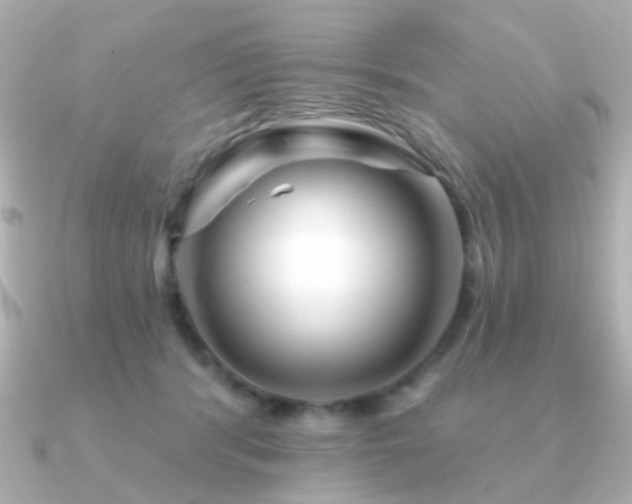 X0000091190416200708091253