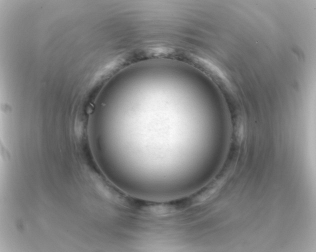 X0000091190417200708091253