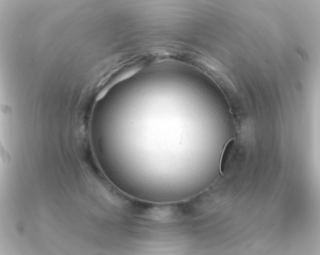 X0000091190418200708091253