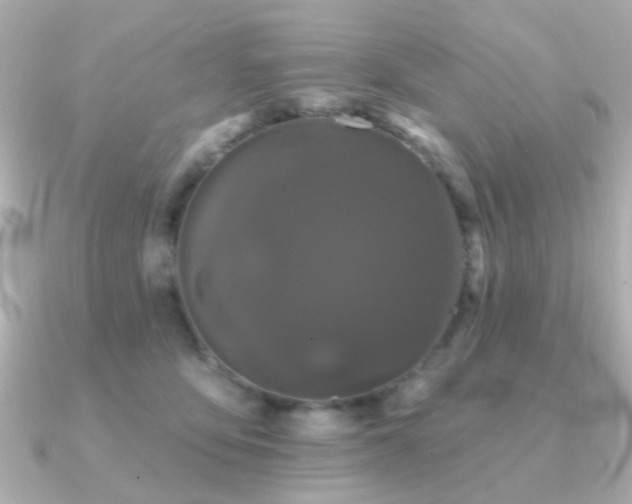 X0000091190419200708091253