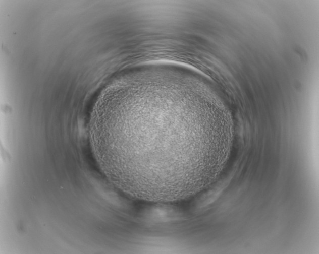 X0000091190420200708091253