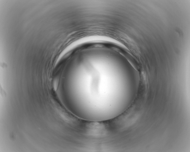 X0000091190421200708091253