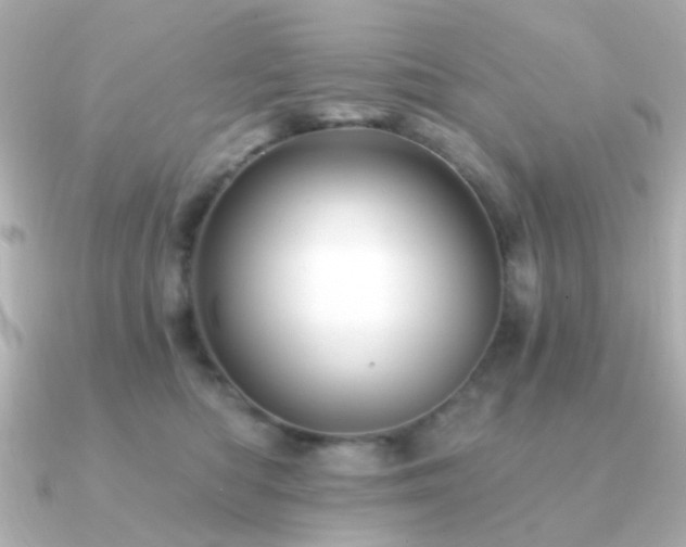 X0000091190422200708091253