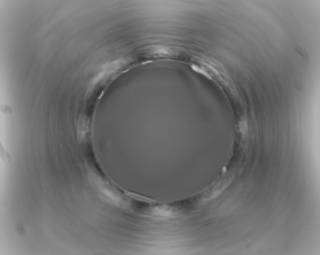 X0000091190423200708091253