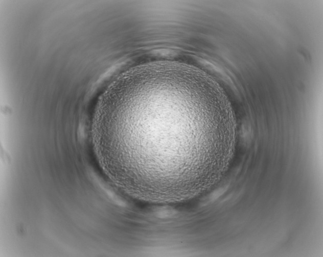 X0000091190424200708091253