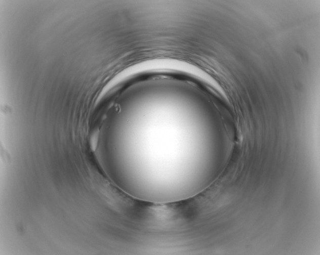 X0000091190425200708091253