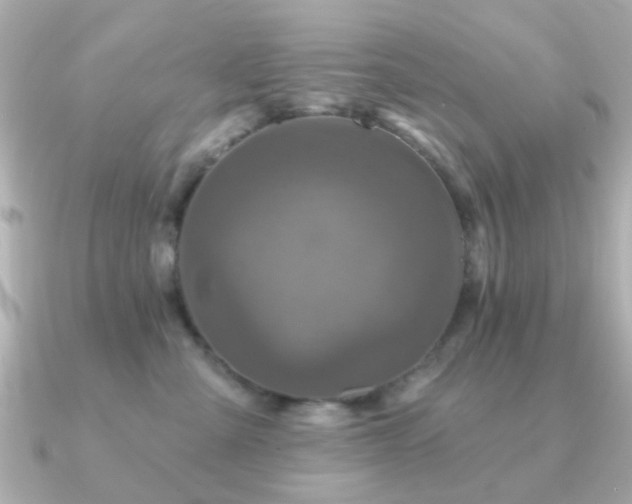 X0000091190427200708091252