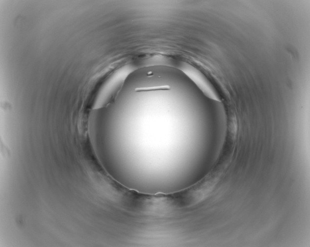 X0000091190428200708091252