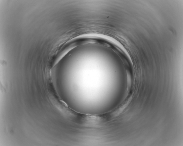 X0000091190429200708091252
