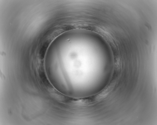X0000091190430200708091252