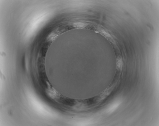 X0000091190431200708091252