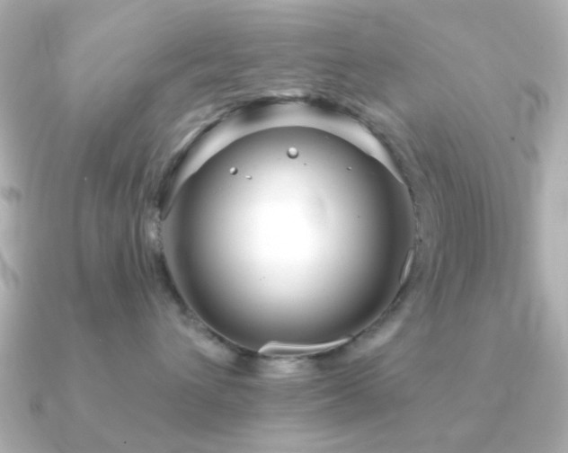 X0000091190432200708091252