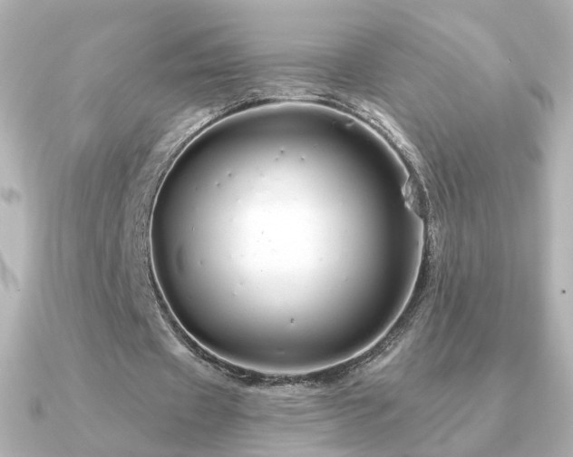 X0000091190433200708091252