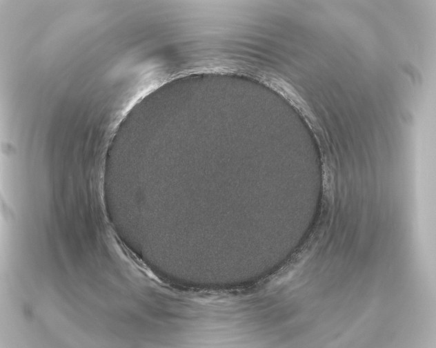 X0000091190434200708091252