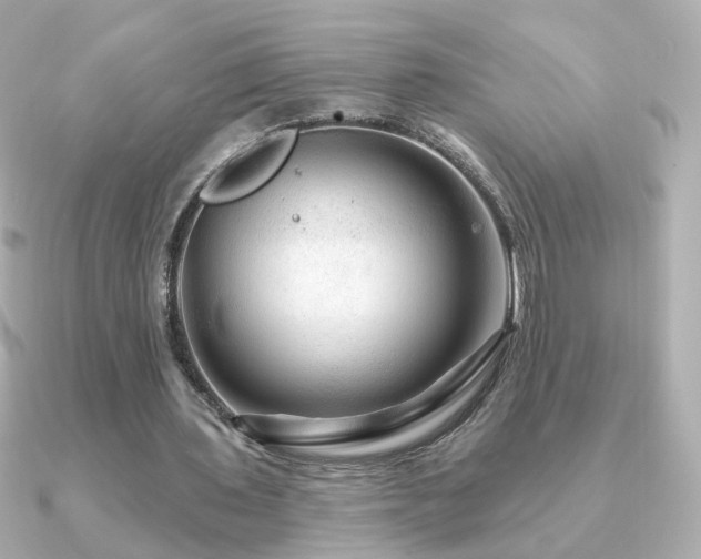 X0000091190435200708091252