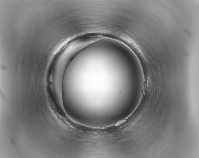 X0000091190436200708091252