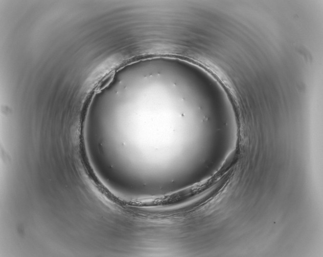 X0000091190437200708091252