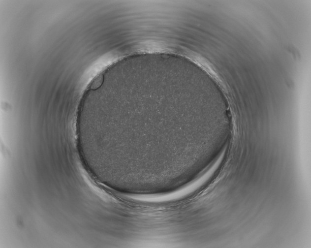X0000091190438200708091252