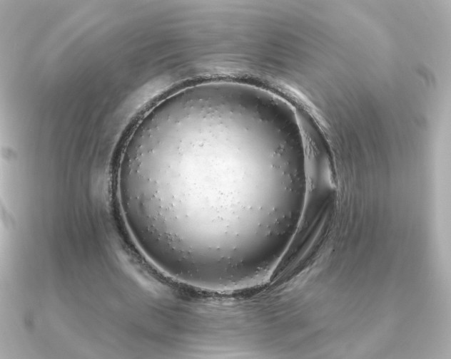 X0000091190439200708091252