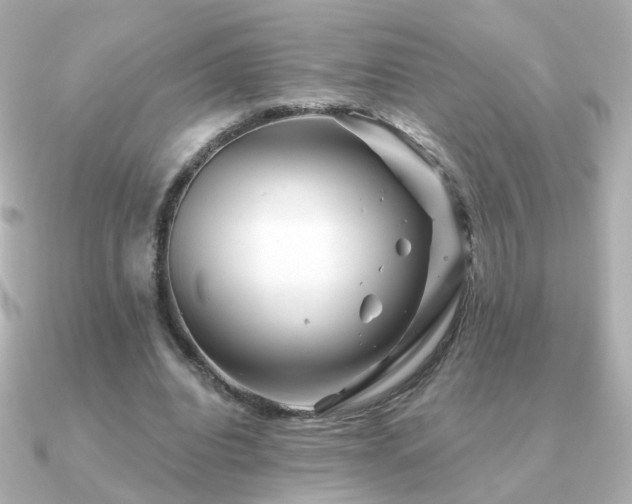 X0000091190440200708091252