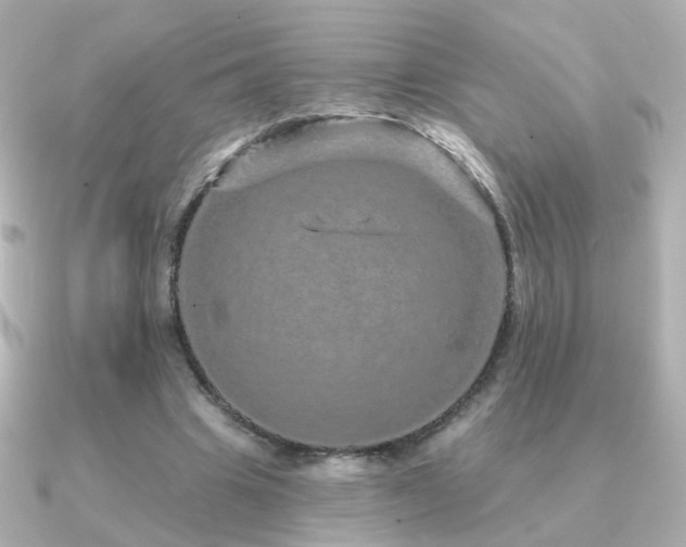 X0000091190441200708091252