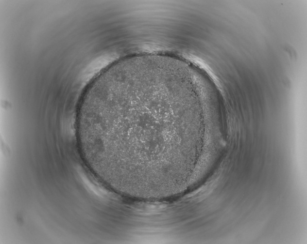 X0000091190443200708091252