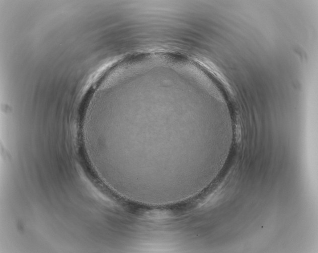 X0000091190444200708091252