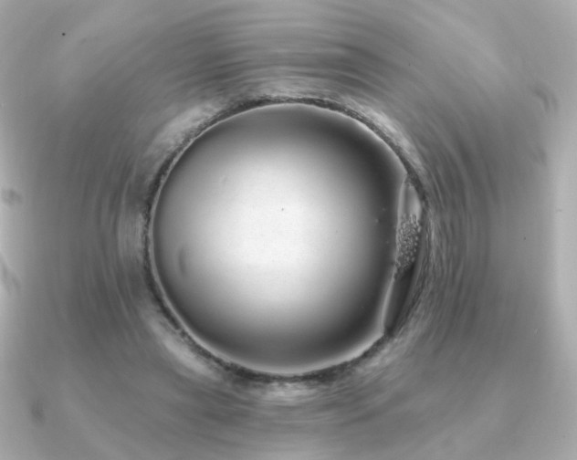 X0000091190445200708091252
