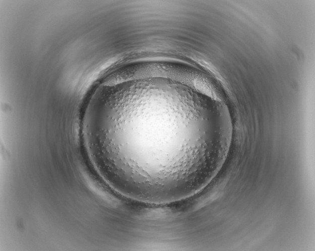 X0000091190446200708091252