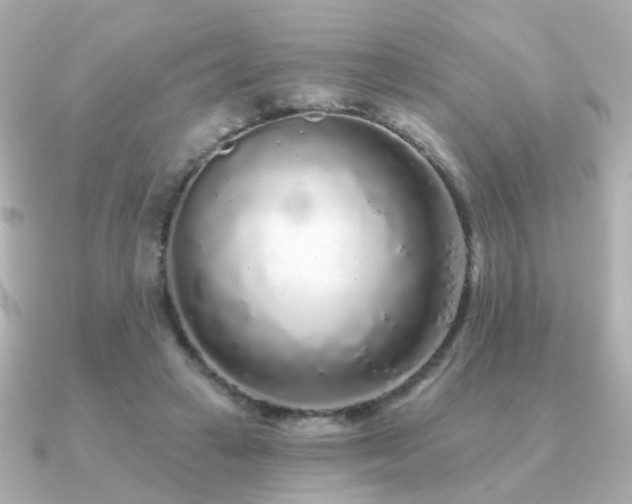 X0000091190449200708091252