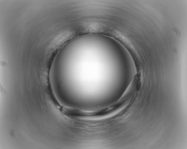 X0000091190450200708091252
