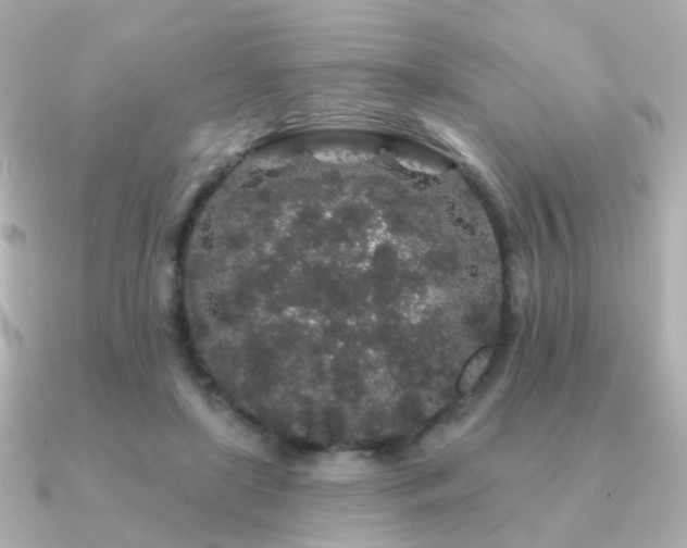 X0000091190451200708091252
