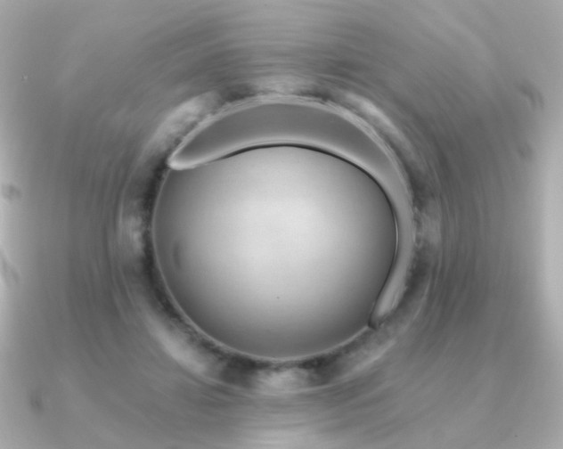 X0000091190452200708091252