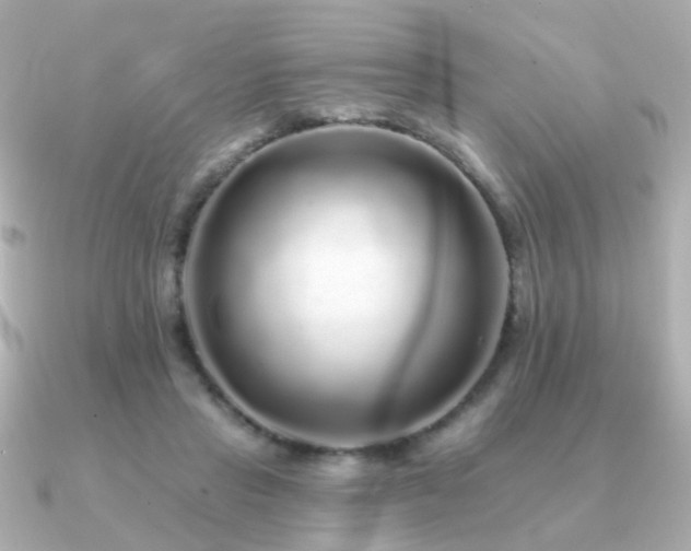 X0000091190453200708091252